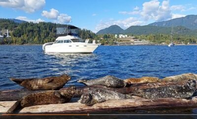 How to book on Renthese Boat & Yacht Rental Platform