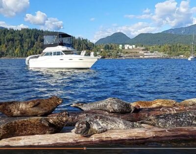 How to book on Renthese Boat Rental Platform