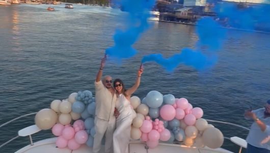 Party Yacht Rental Vancouver | Renthese