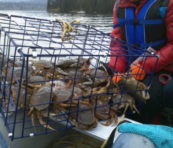 fishing charter vancouver BC