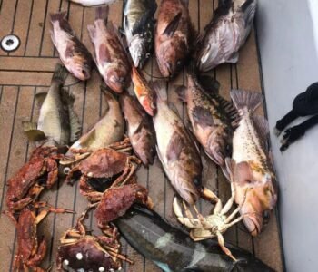 fishing charter vancouver BC