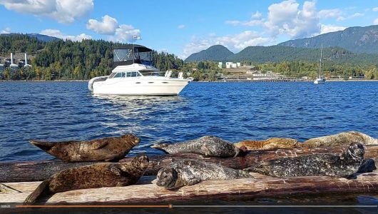Boat rental Vancouver with Renthese